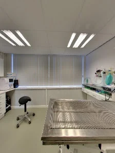 Dierenkliniek De Bilt 🐾 - 3