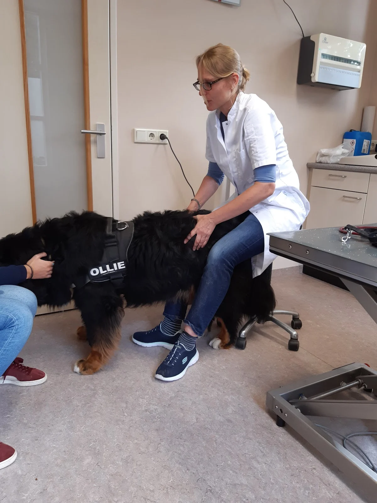 Dierenkliniek de Haardstede