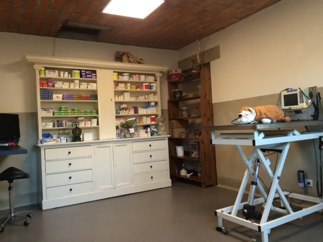 Dierenkliniek De oude Linge - 3