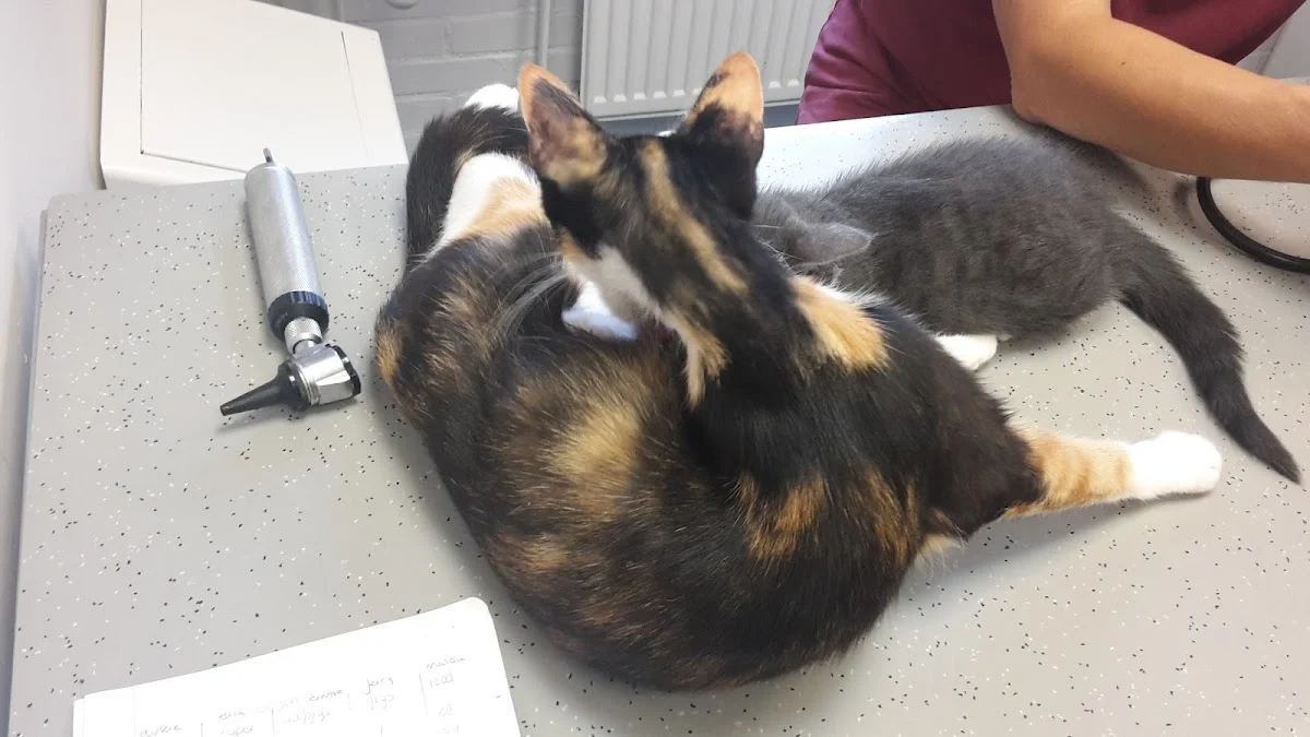 Dierenkliniek De Perzikgaard