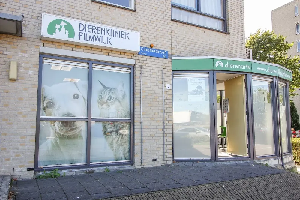 Dierenkliniek Filmwijk 🐾🩺 - 4