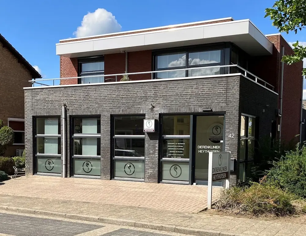 Dierenkliniek Heythuysen🐾🩺