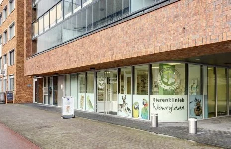 Dierenkliniek IJburglaan