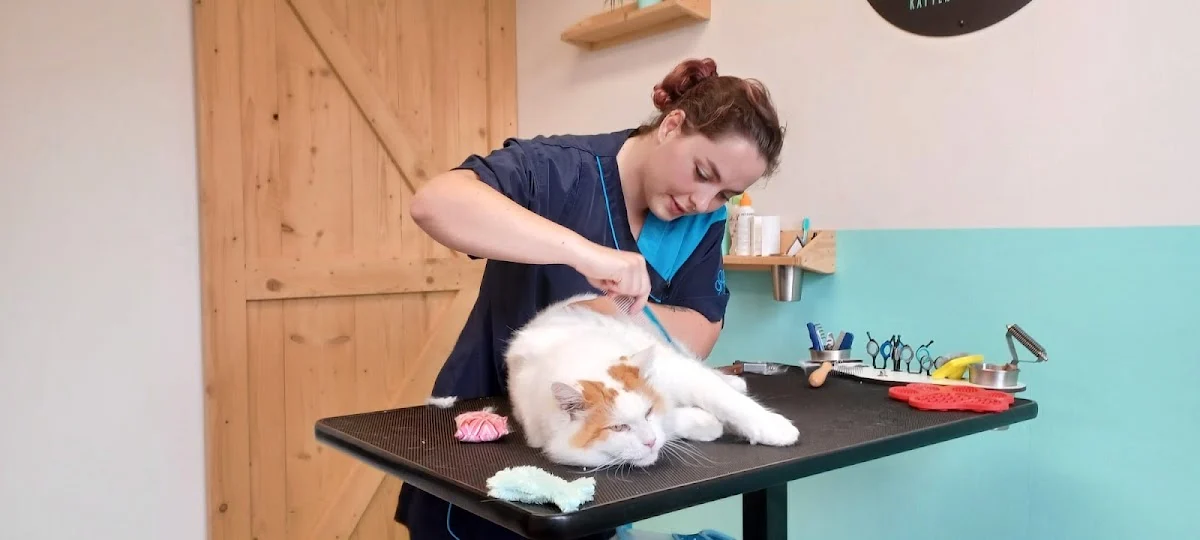 Dierenkliniek kattentrimsalon - 2