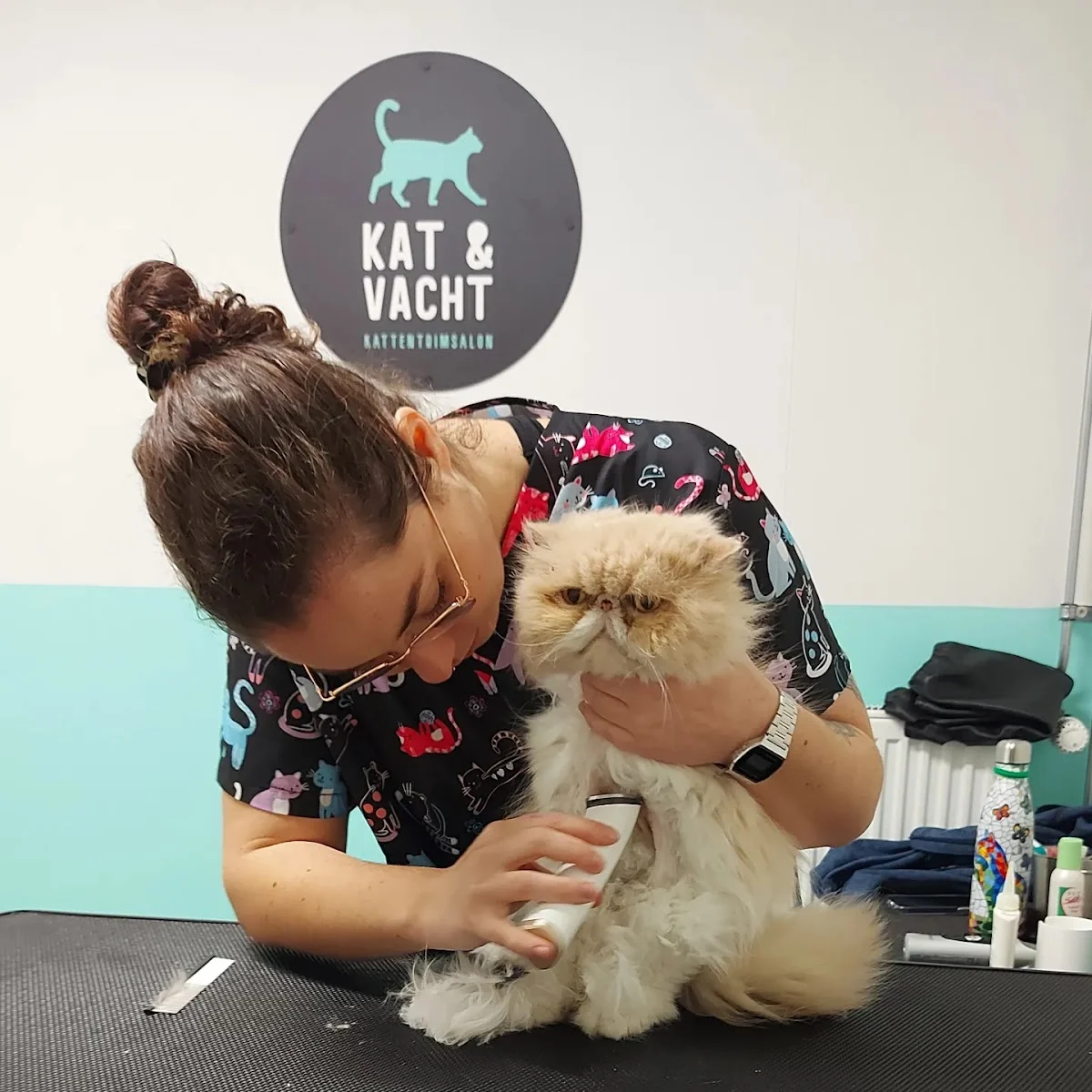 Dierenkliniek kattentrimsalon