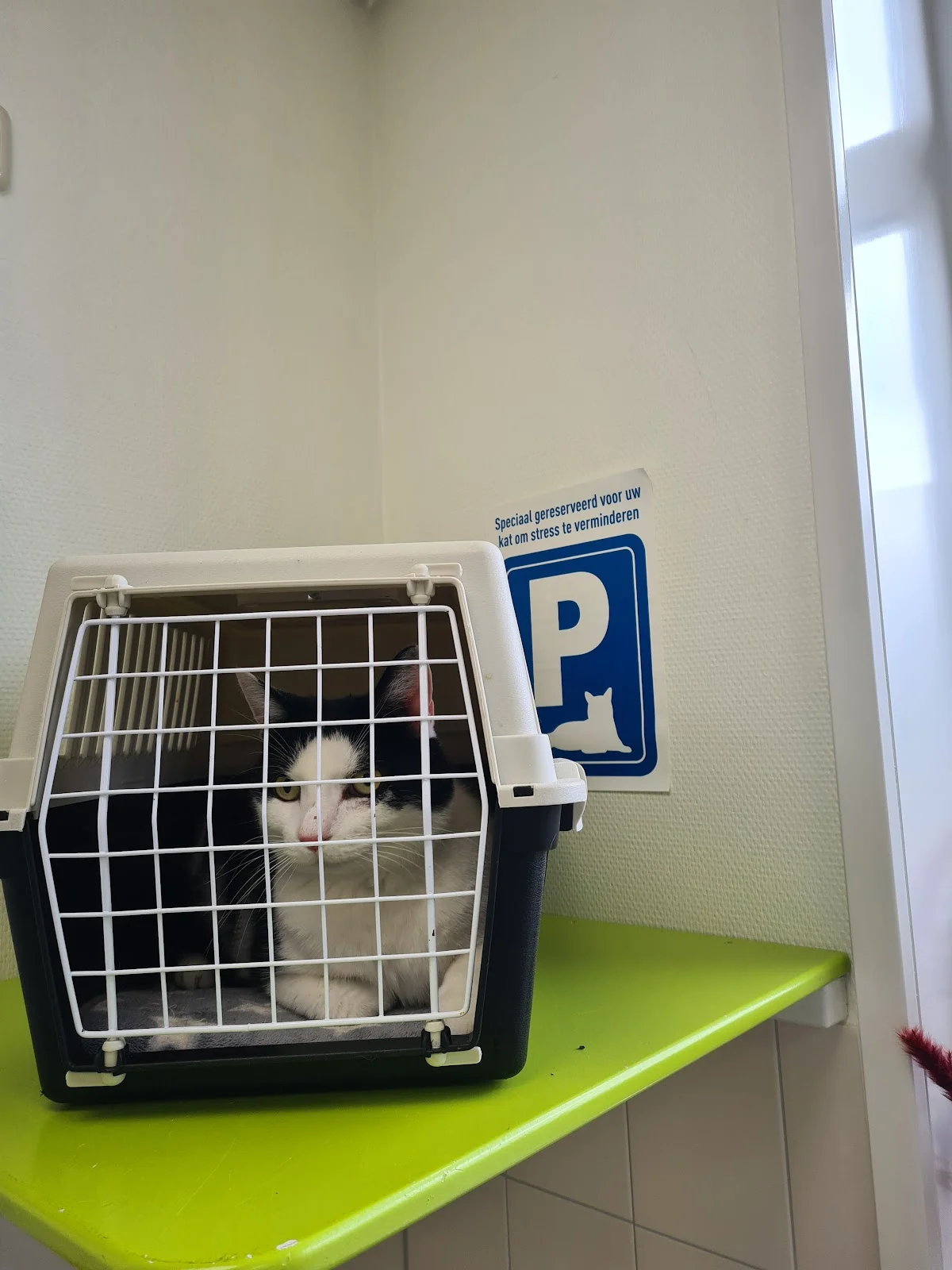 Dierenkliniek Losser - Oldenzaal