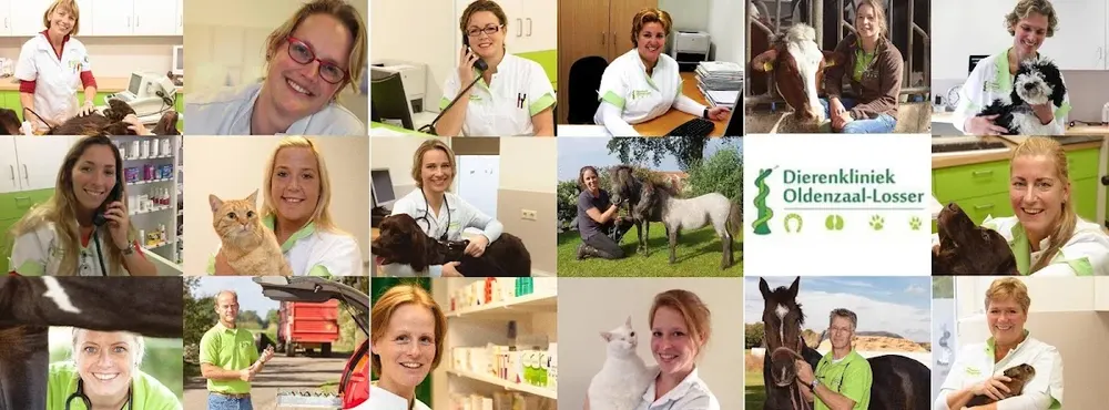 Dierenkliniek Oldenzaal-Losser - 2