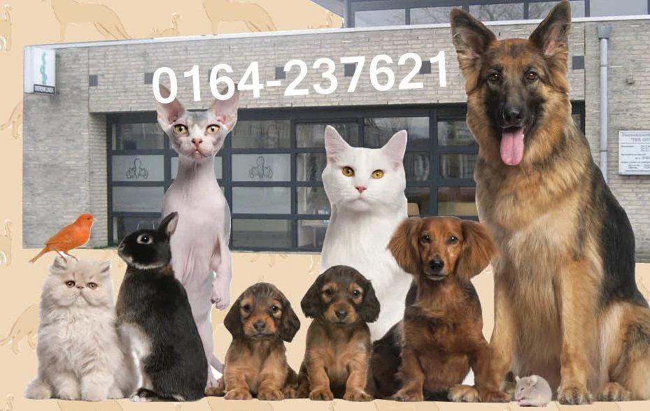 Dierenkliniek Ter Gouwe