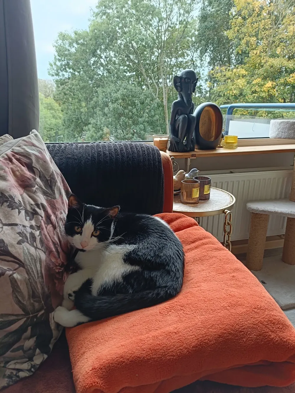 Dierenkliniek Voorburg