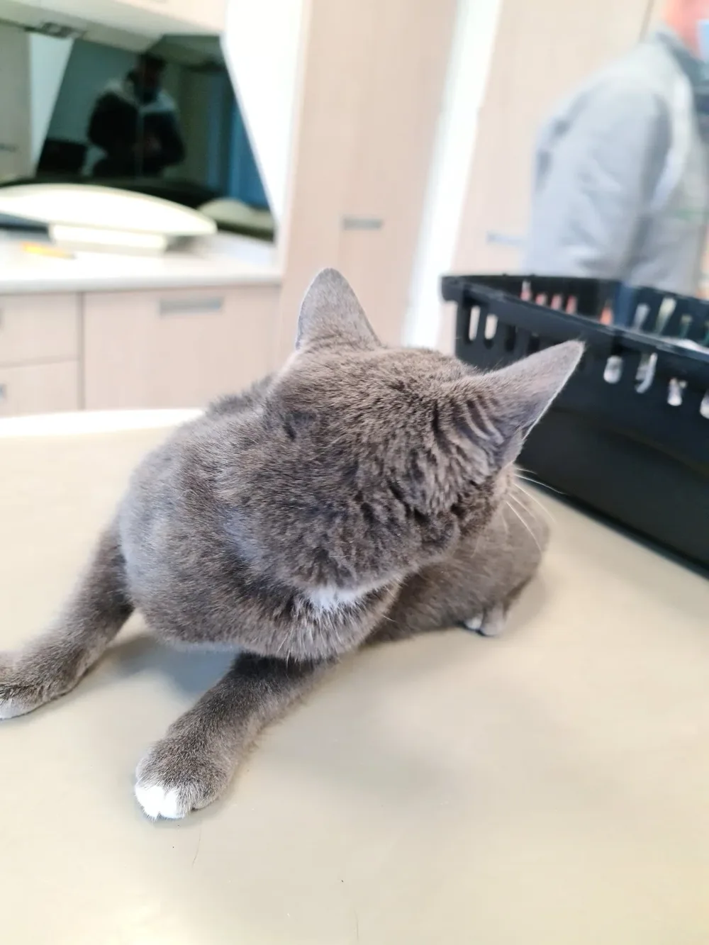 Dierenkliniek Weert - 3