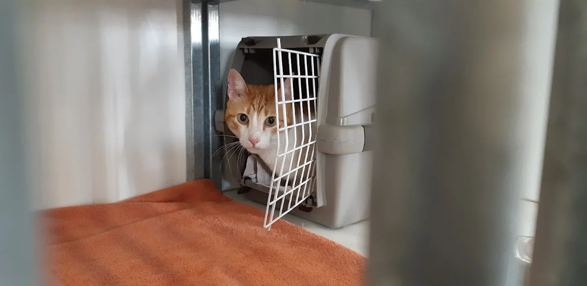 Dierenpension Bed & Brok - 3
