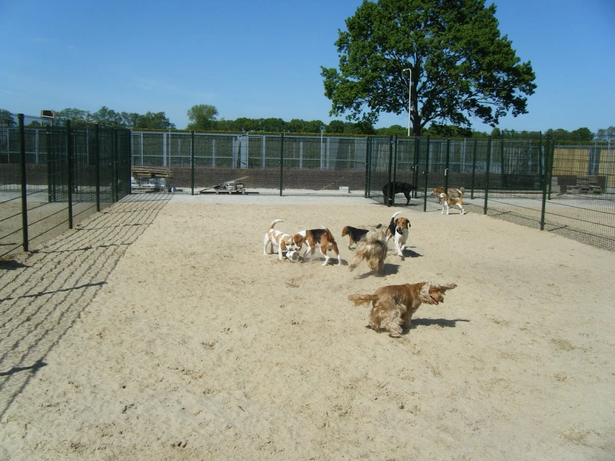Dierenpension Happy Care - 3