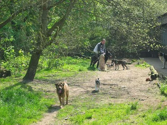 Dierenpension 't Heike - 2