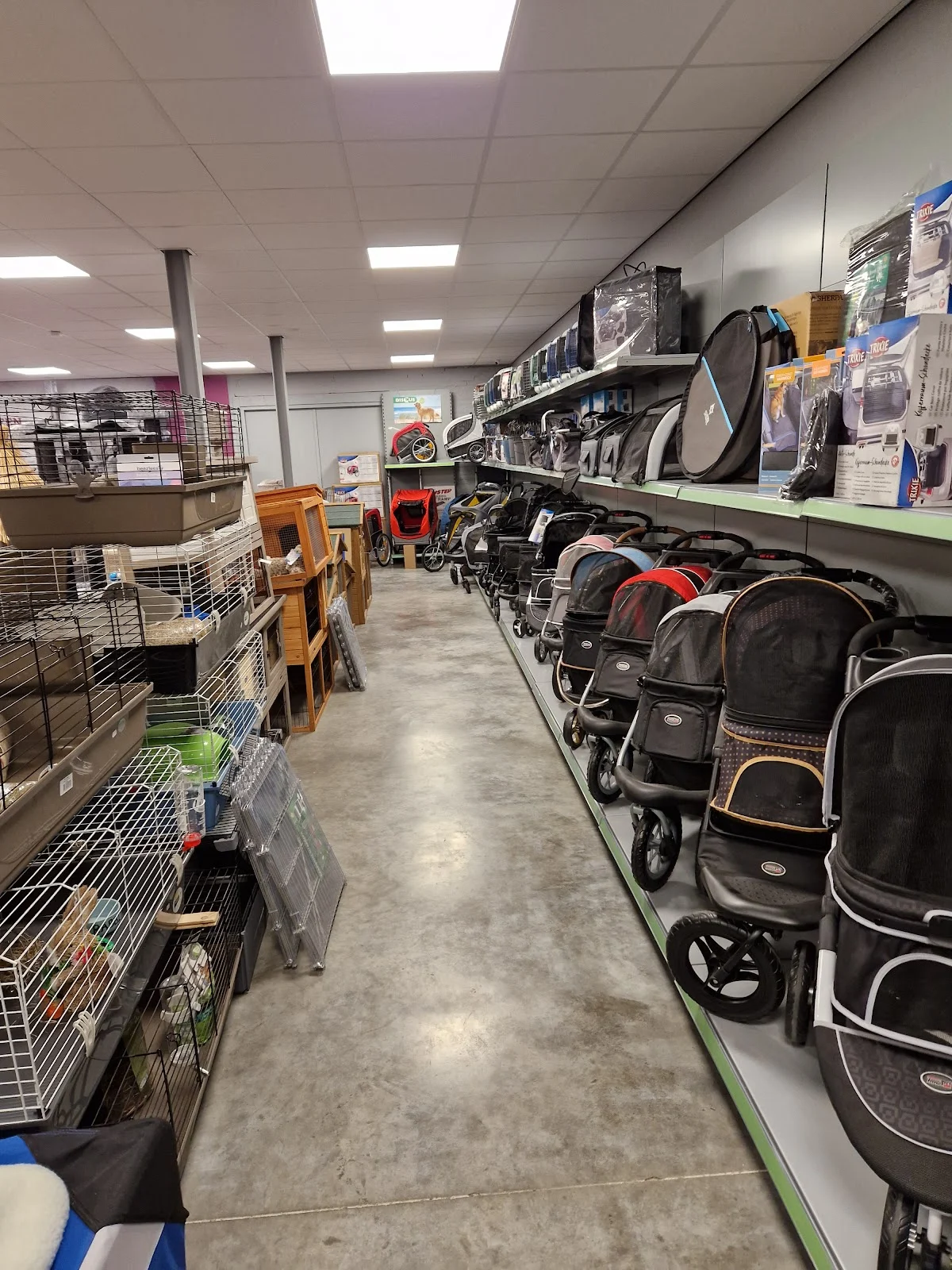 Dierenspeciaalzaak De4Voeter - 2