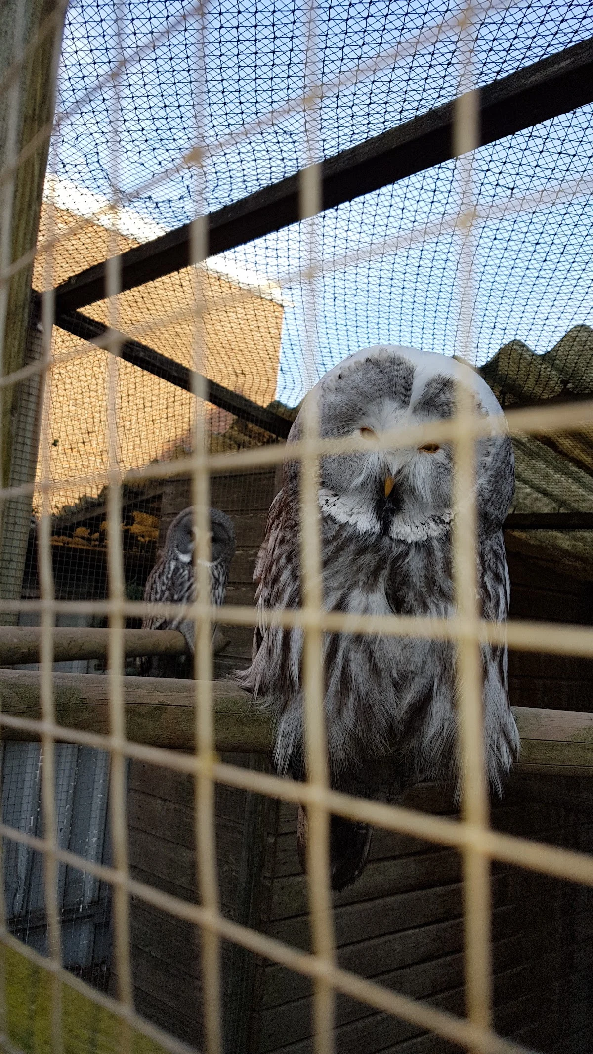 Dierenspeciaalzaak Henk van Os - 3