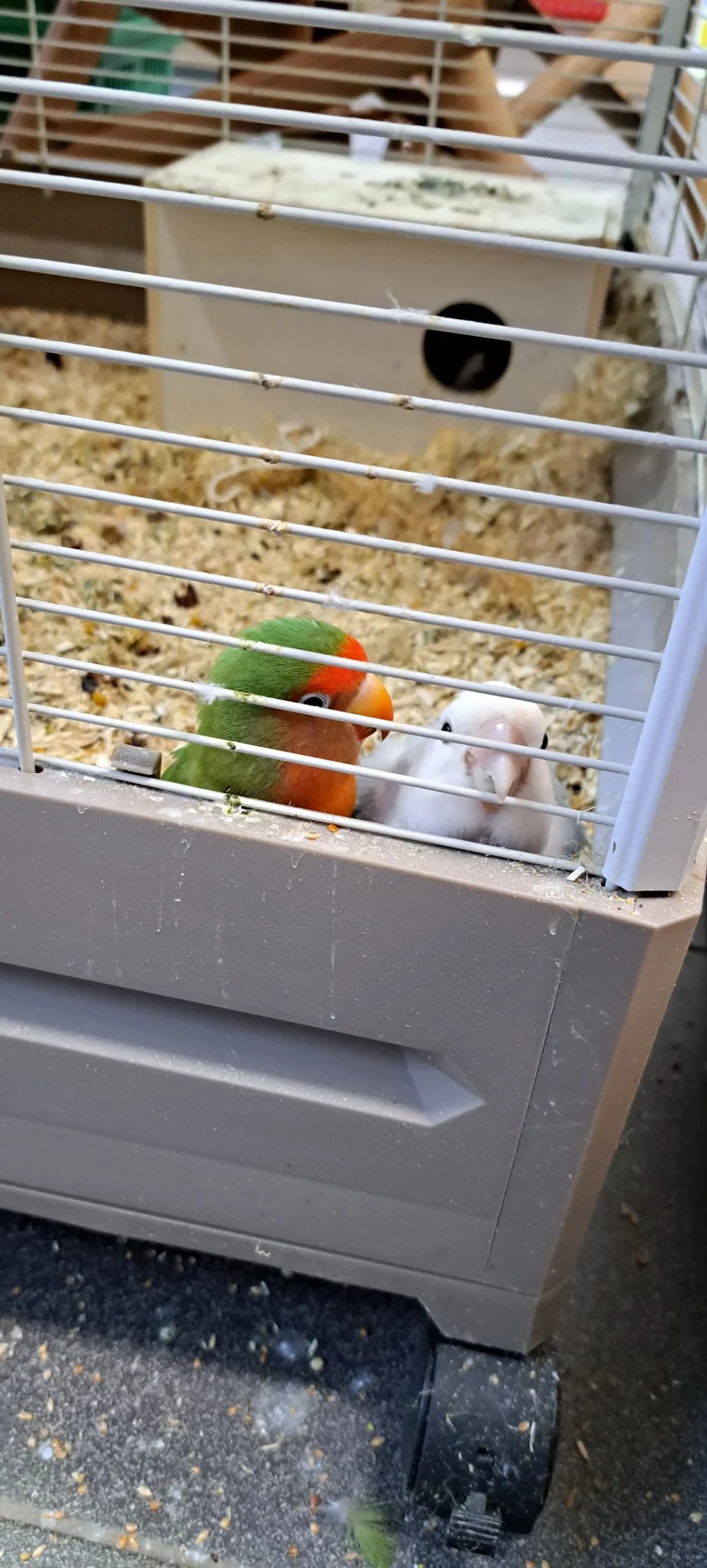 Dierenspeciaalzaak Kloosterman - Dalfsen - 3