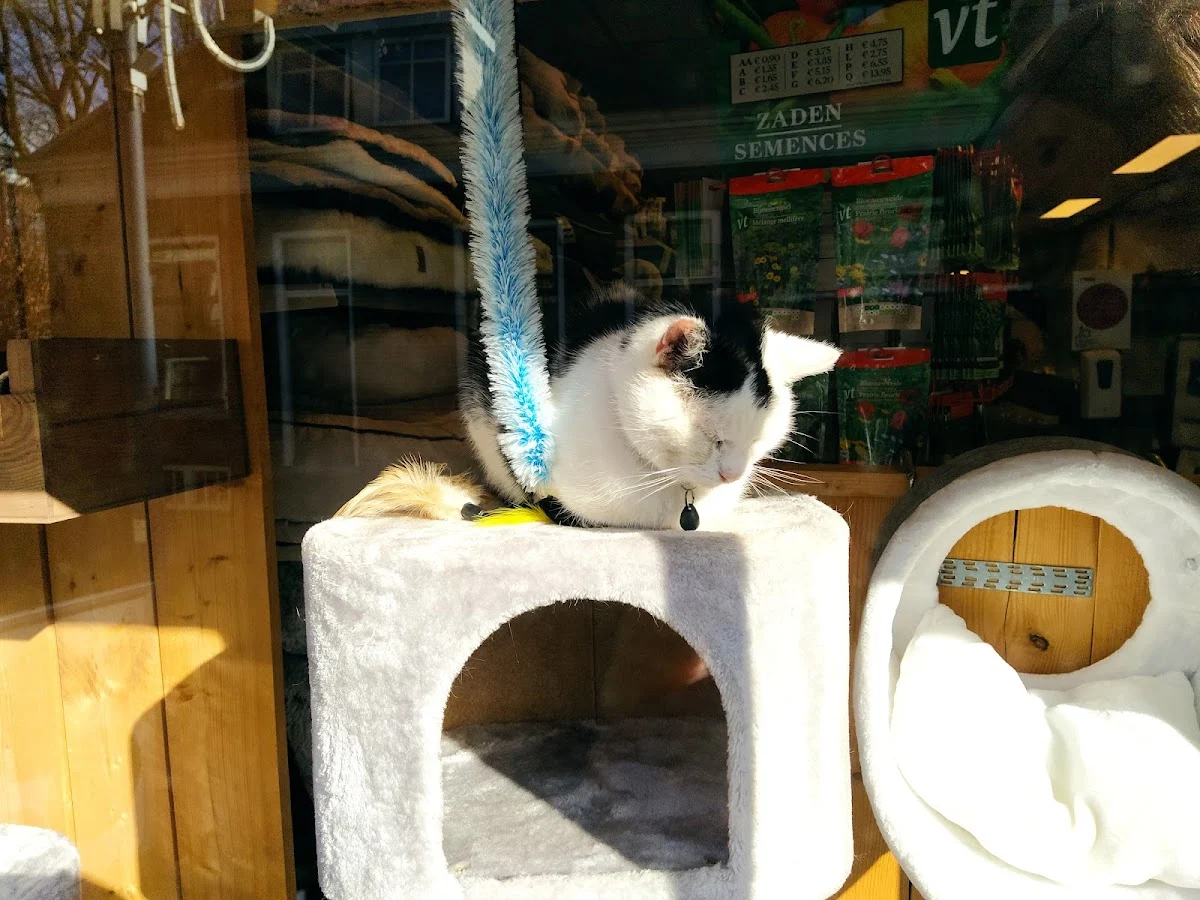 Dierenspeciaalzaak van Zanten - 2