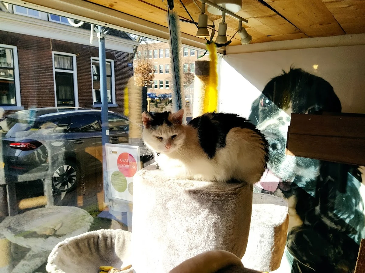 Dierenspeciaalzaak van Zanten - 4