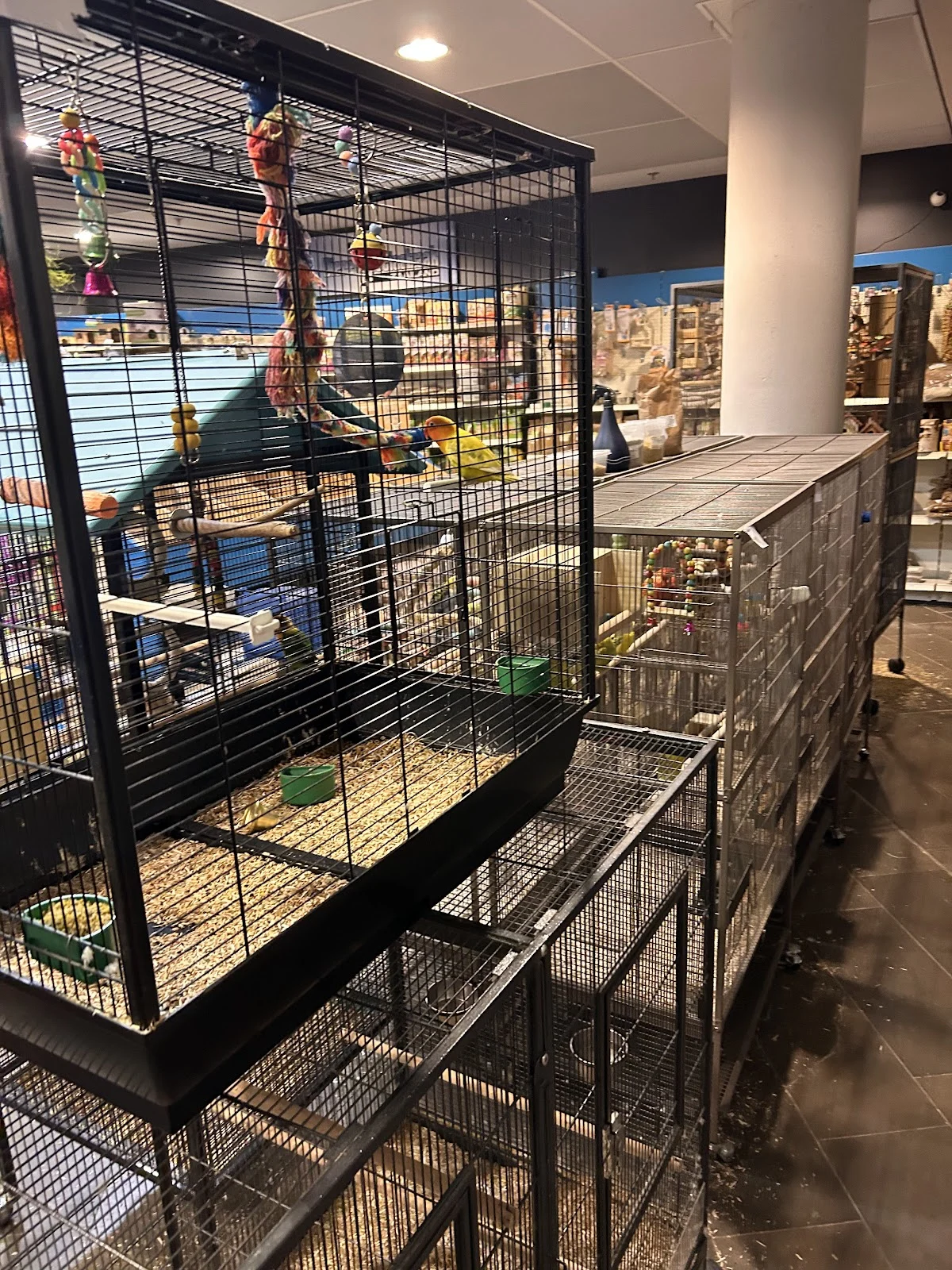 Dierenspeciaalzaak zaailand