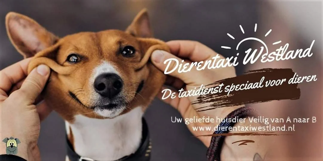 Dierentaxi Westland / Pet Taxi - voor uw Hond en Kat