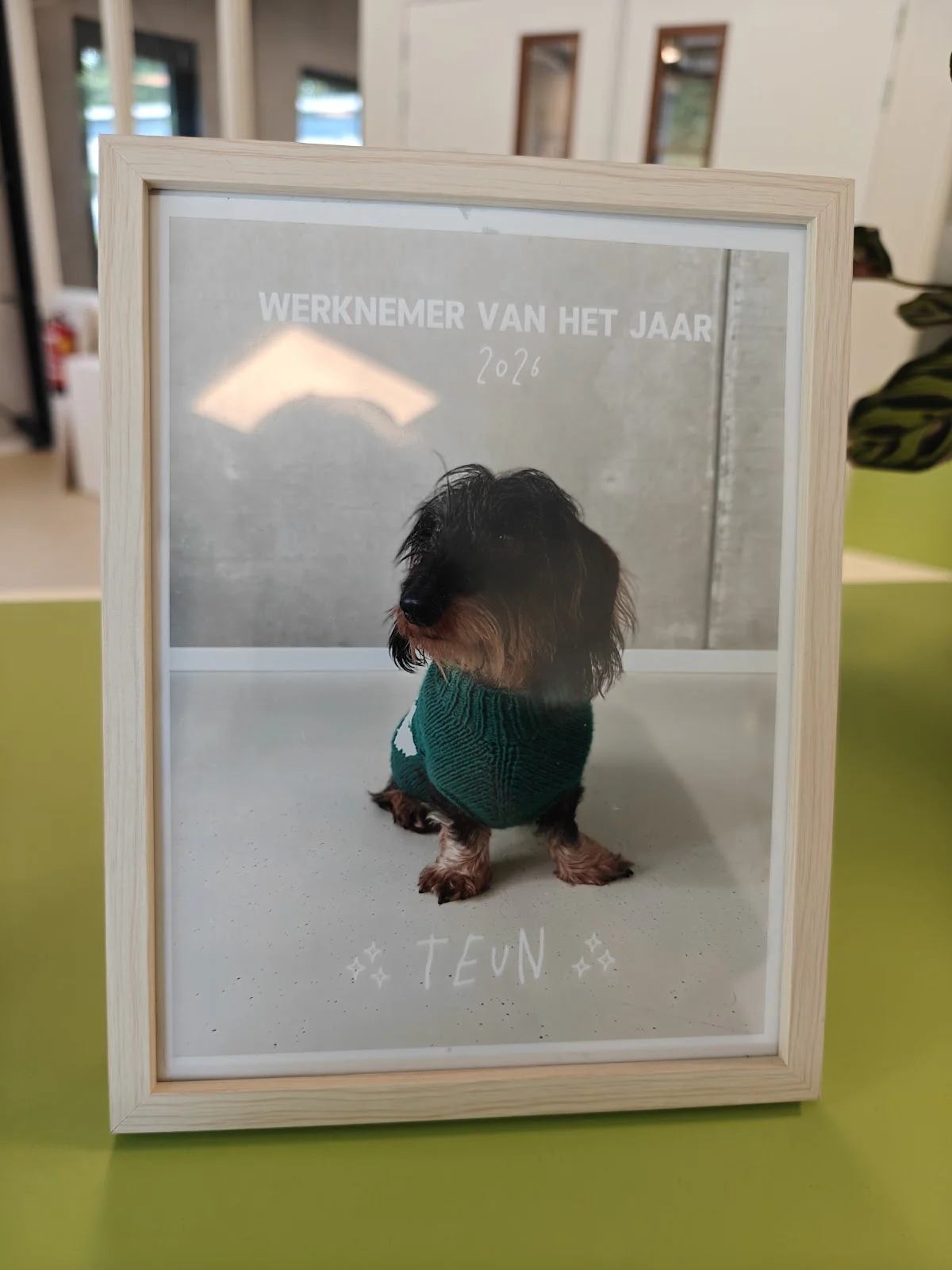 Dierentehuis Arnhem en omstreken - 2