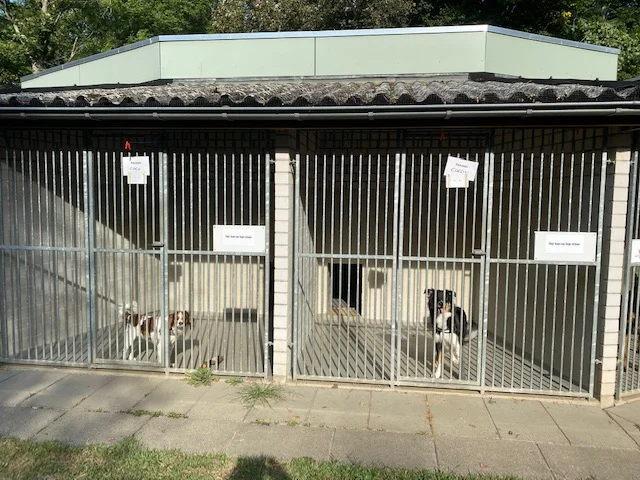 Dierentehuis 's-Hertogenbosch - 4