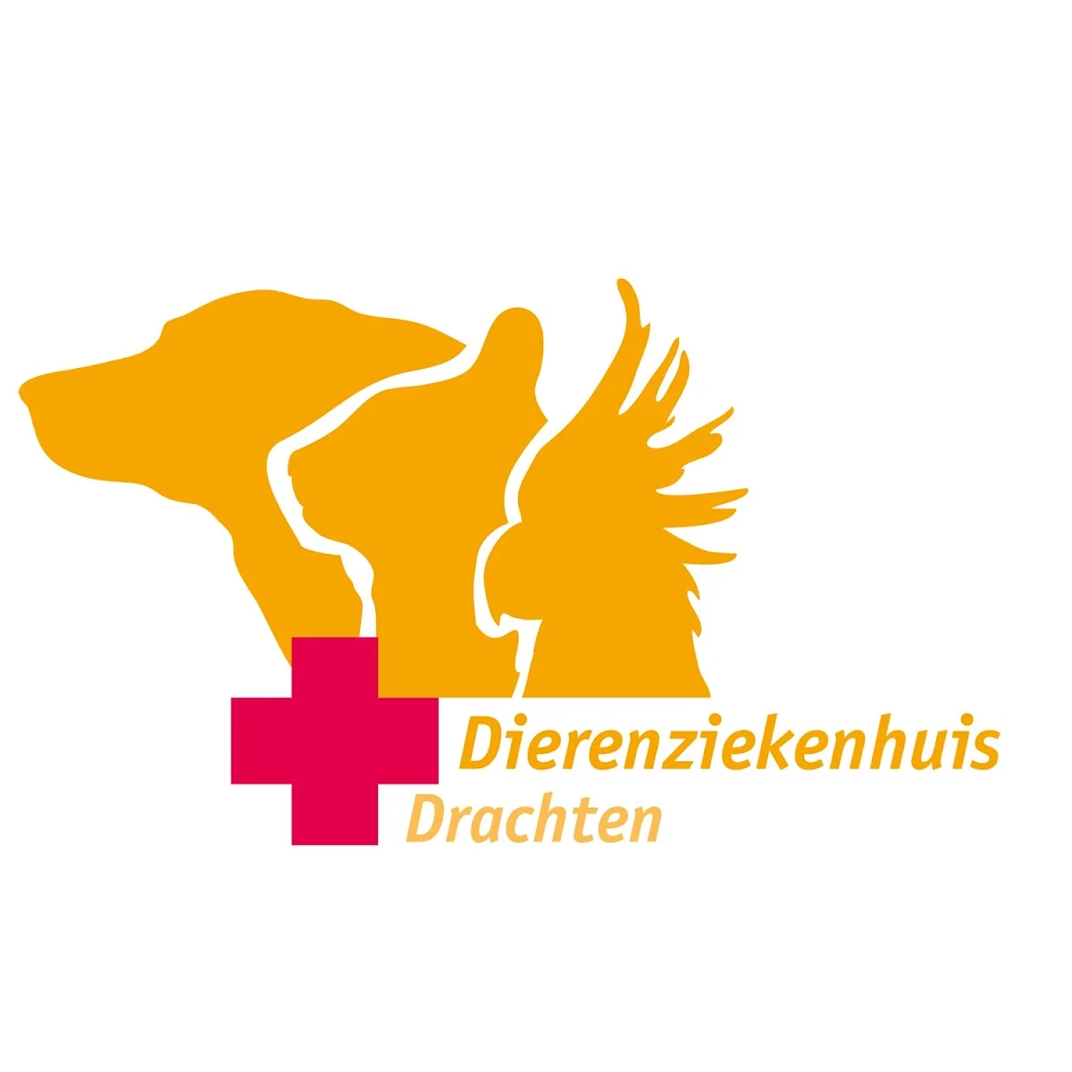 Dierenziekenhuis Drachten - 2