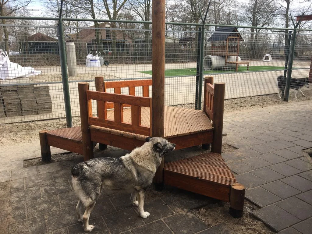 DierenZorg Eemland