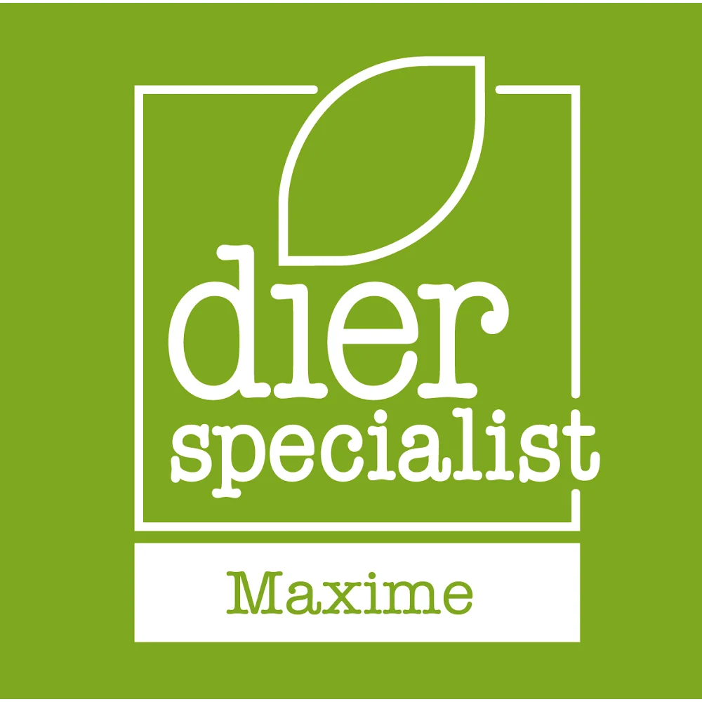 Dierplaza Maxime - 2