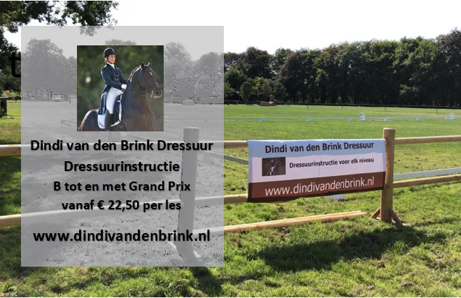 Dindi van den Brink Dressuur