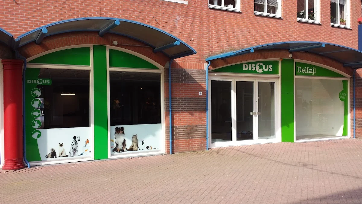 Discus Delfzijl