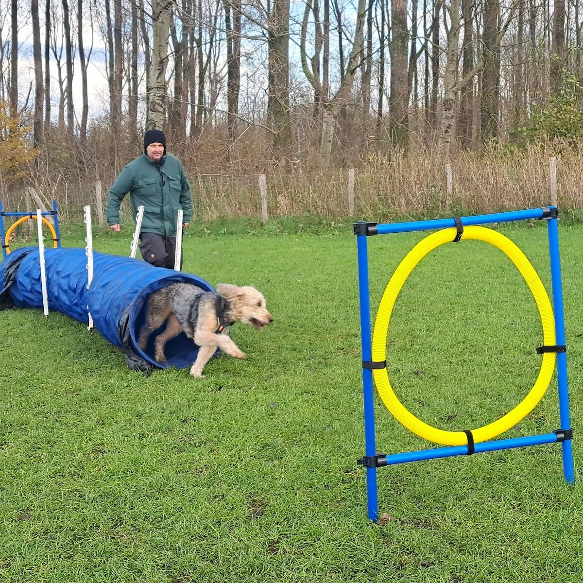 Doderer Hondenschool - 2