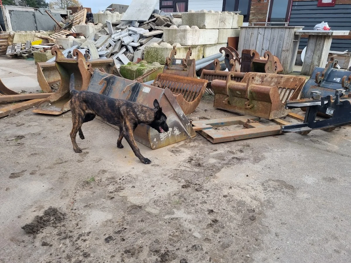 Dogdetection