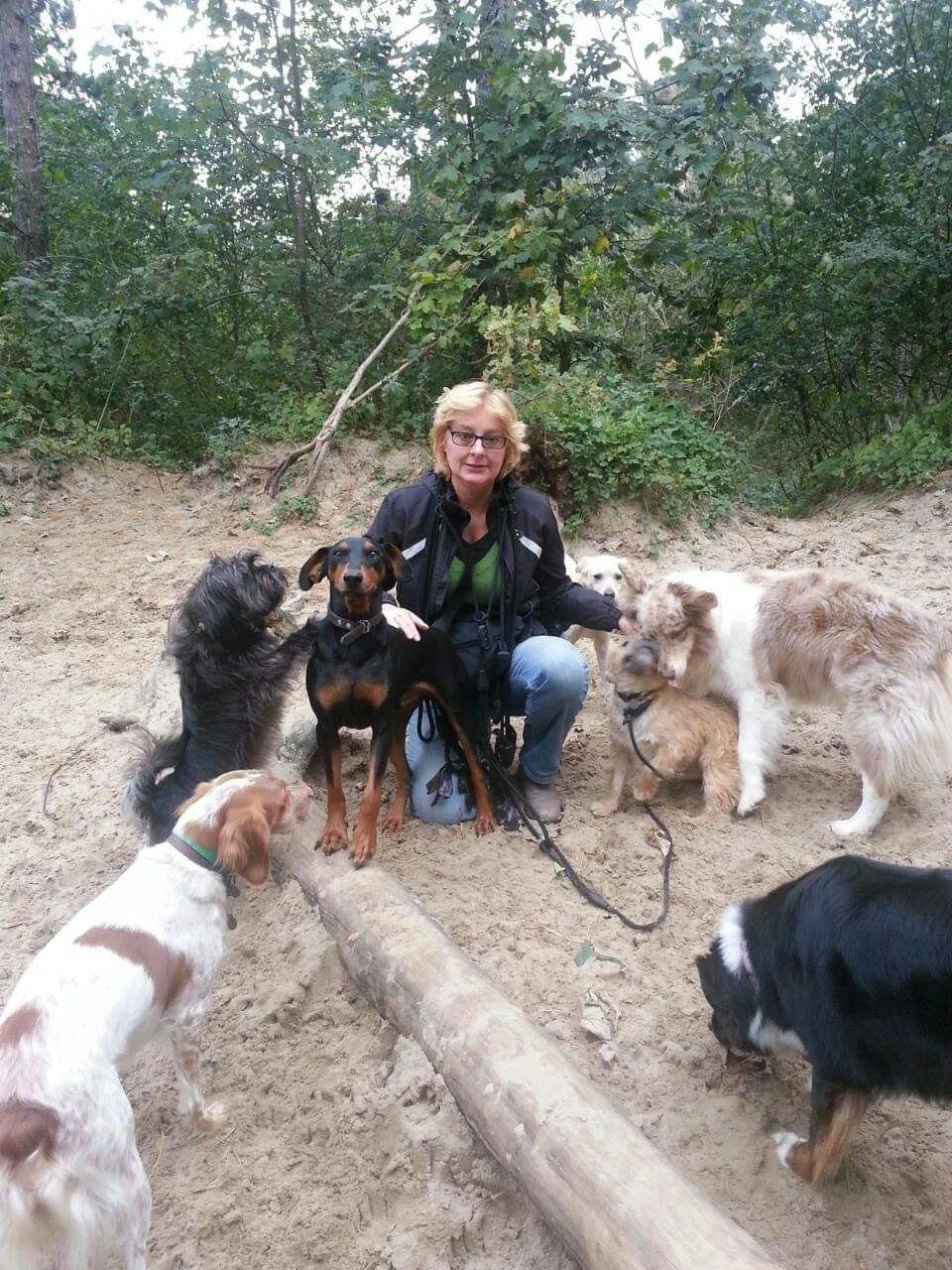 Doggy Joy