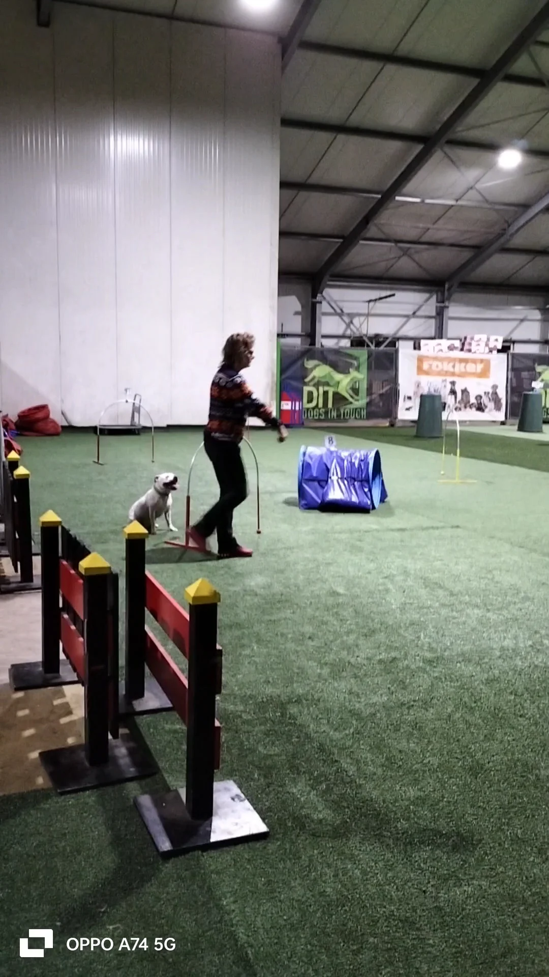 Dogs in Touch - 2
