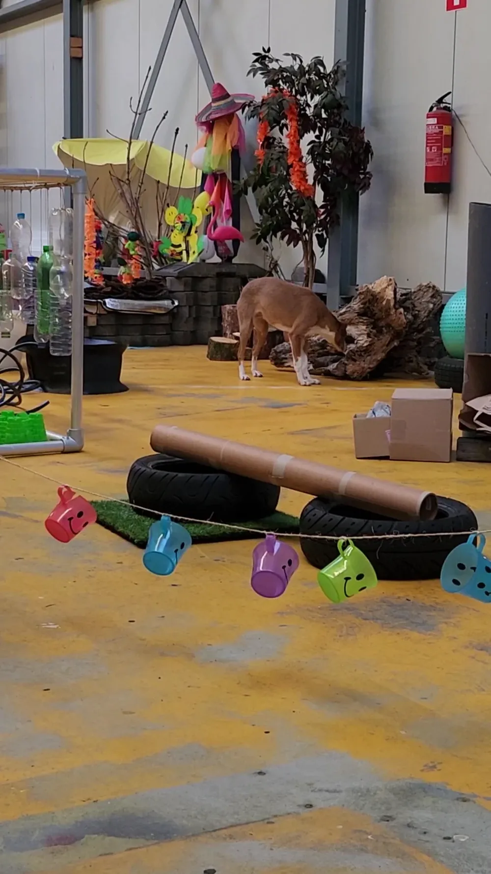Dog's Own Choice - 3