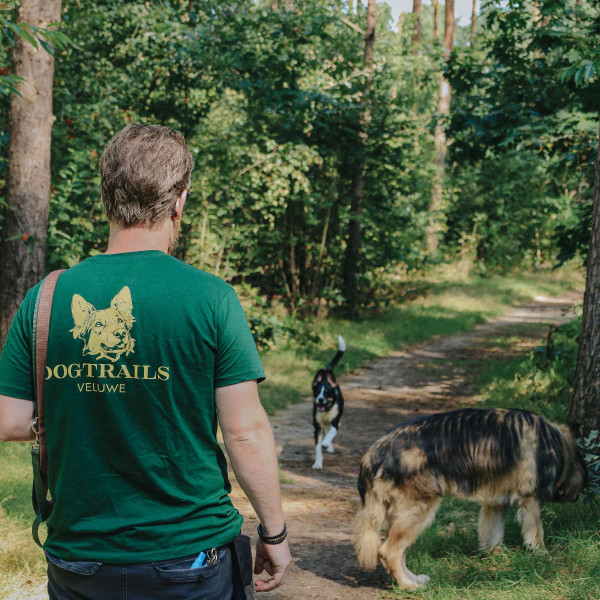 Dogtrails Veluwe