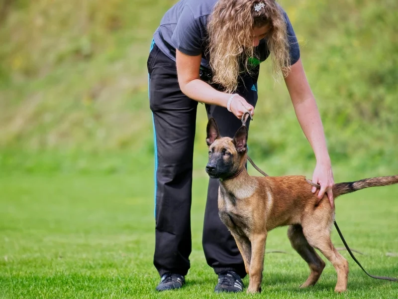 Dogtraining Patricia - 6