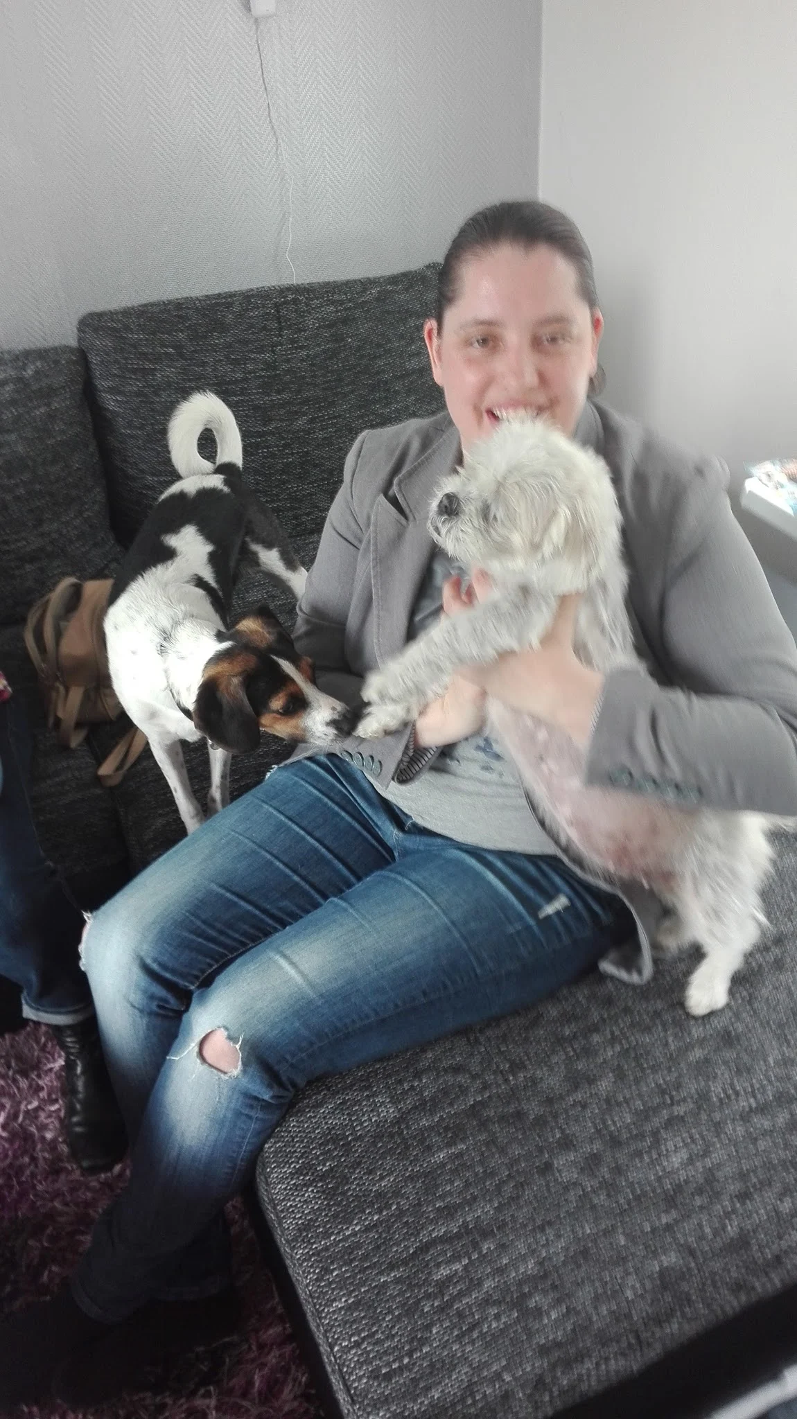 Dymmie's kwispelservice kleinschalige gediplomeerde honden uitlaat en oppasservice - 3