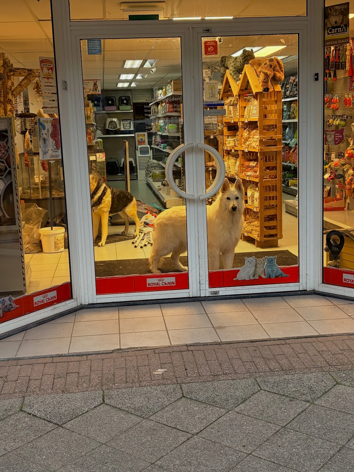 Elans Dierenparadijs - 4