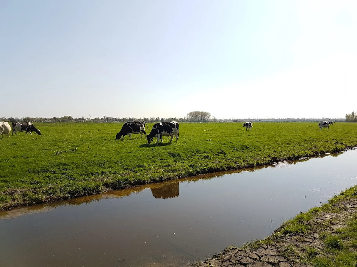 Elza Hoeve - 2