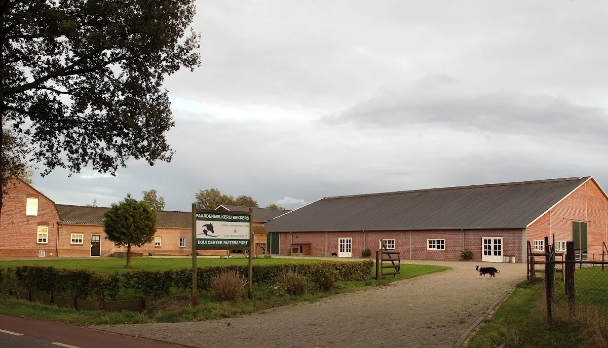 Equi Center Pony's