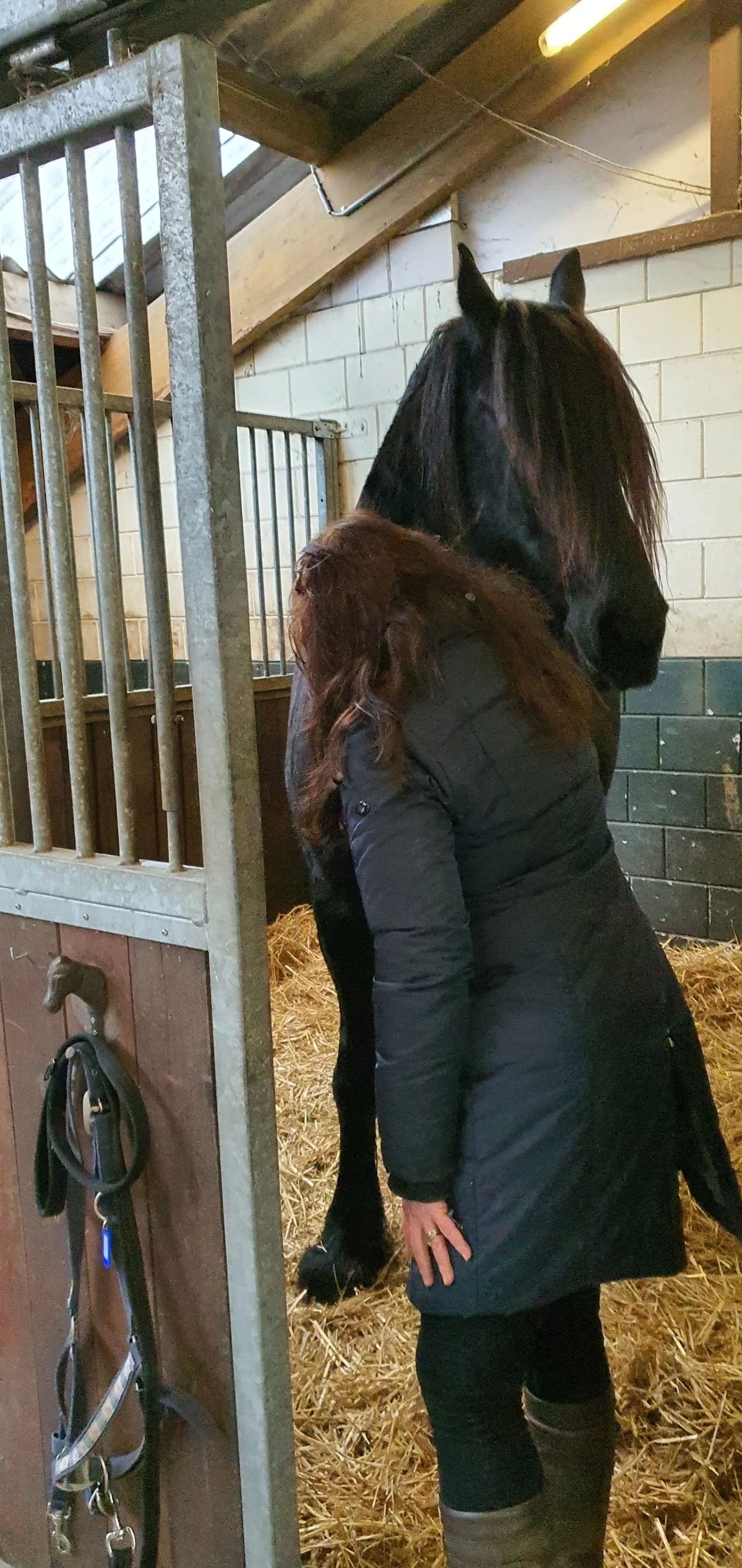 Facilitair Paarden Centrum
