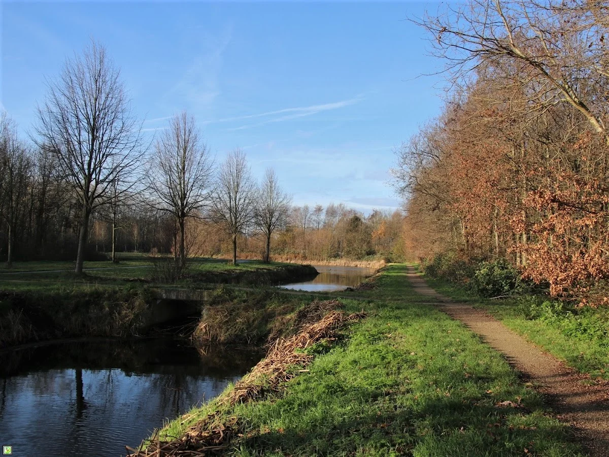 Gagelbos Anthoniedijk