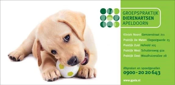Groepspraktijk Dierenartsen Apeldoorn