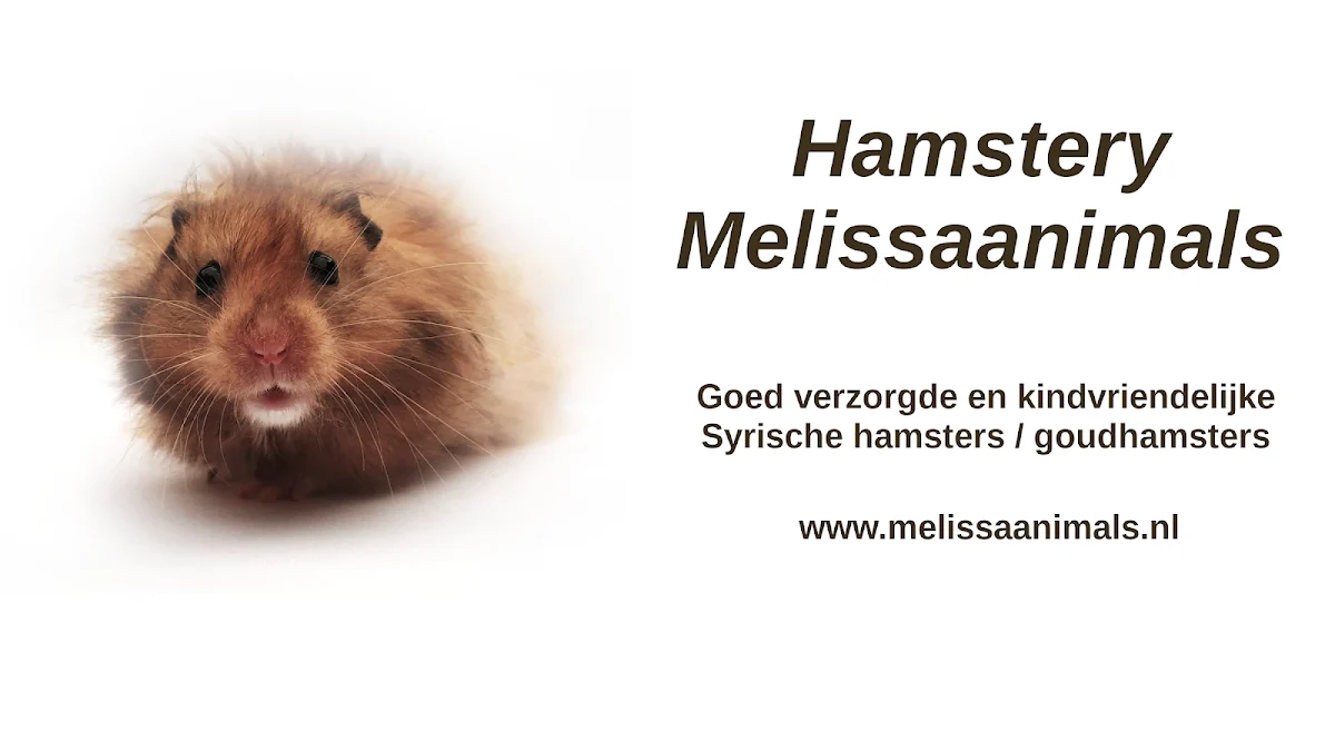 Hamstery Melissaanimals - 2