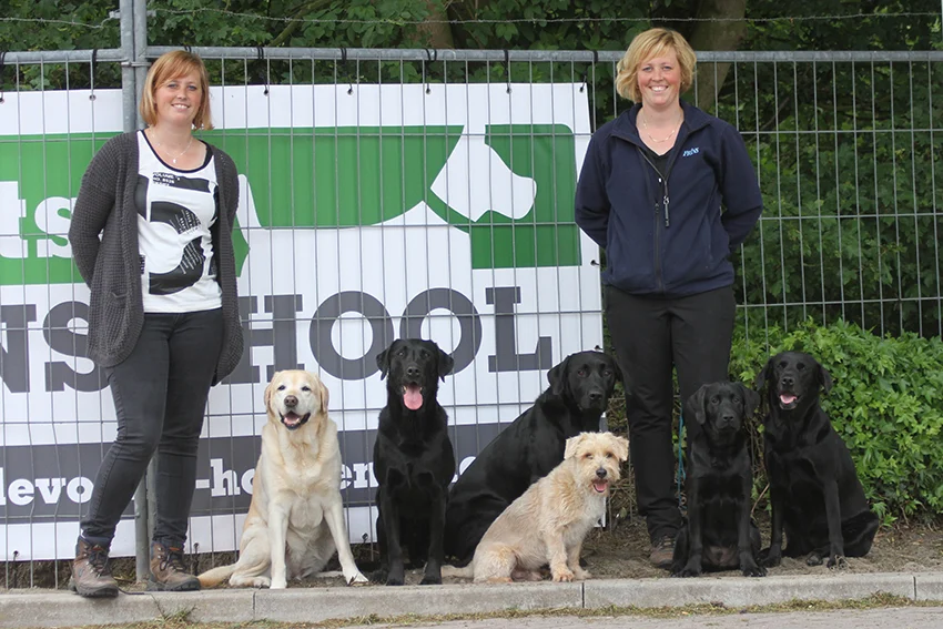 Hellevoetse hondenschool