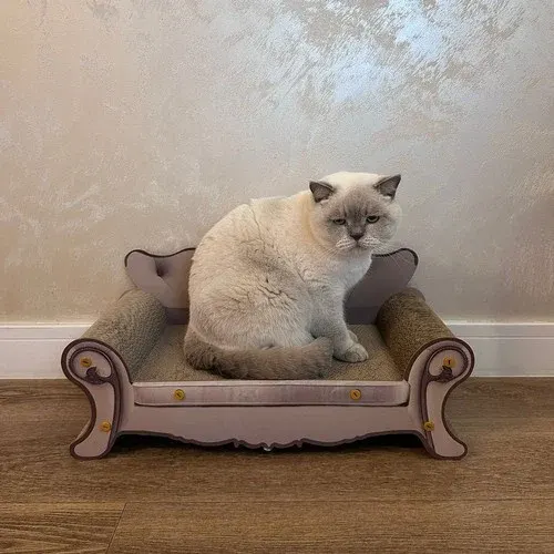 Hellocat