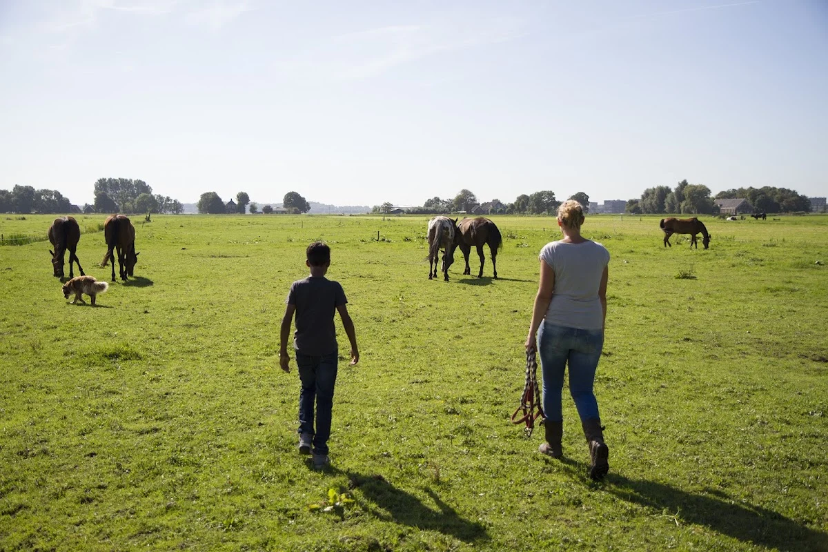 Het Beste Paard van Stal - 3