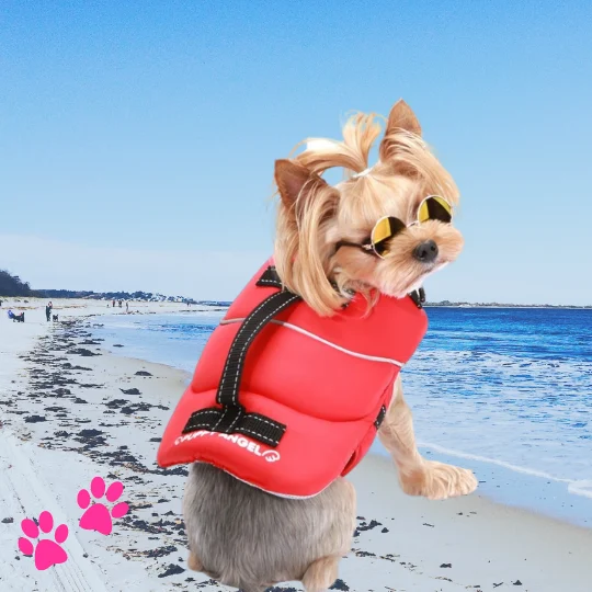 Hipdogs